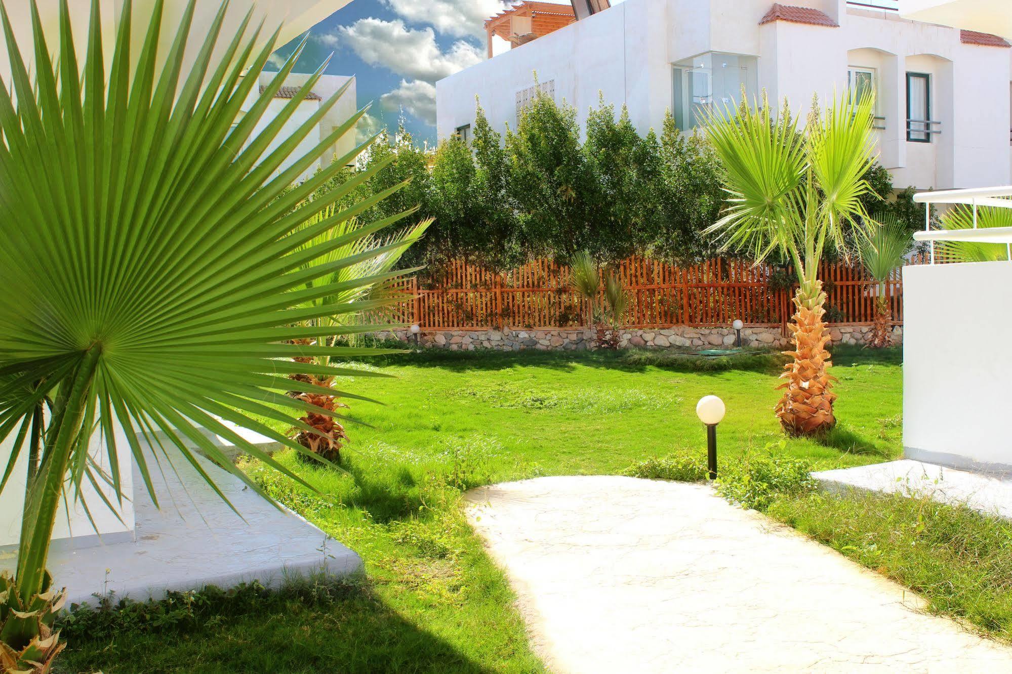 Viking Club Hotel Sharm El Sheikh Exteriör bild
